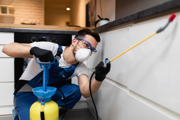 Best Local Pest Control Services  in Kenly, NC