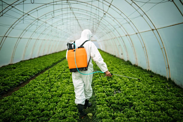 Best Pest Control for Restaurants  in Kenly, NC
