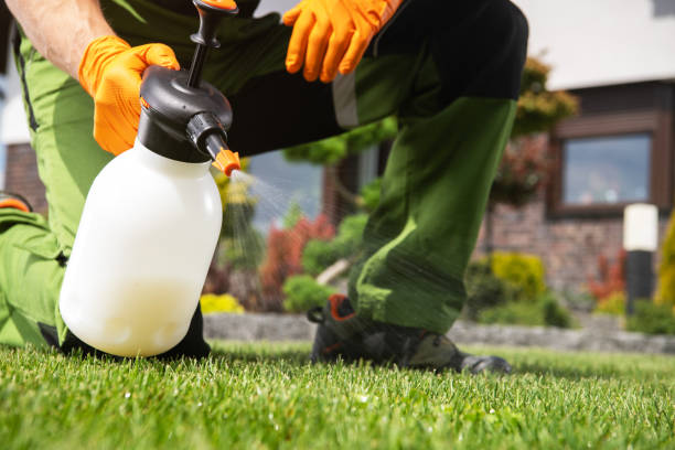 Best Best Pest Control Companies  in Kenly, NC