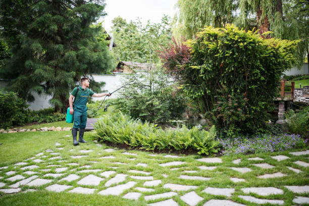 Best Insect Control  in Kenly, NC