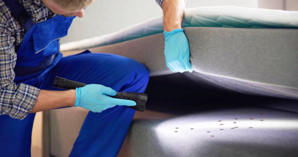 Kenly, NC Pest Control Company