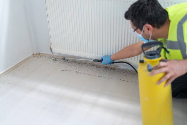 Best Pest Prevention Services  in Kenly, NC