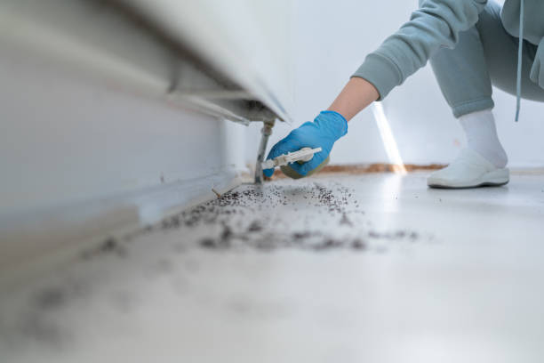 Pest Control for Restaurants in Kenly, NC